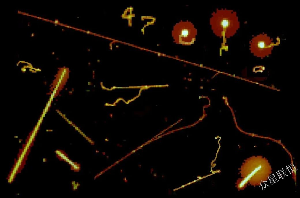 北京眾星聯(lián)恒科技有限公司 北京眾星聯(lián)恒科技有限公司