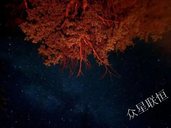 北京眾星聯(lián)恒科技有限公司 北京眾星聯(lián)恒科技有限公司