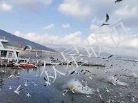北京眾星聯(lián)恒科技有限公司 北京眾星聯(lián)恒科技有限公司
